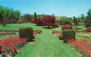 Postal Jardines de rosas y tulipanes con tulipanes de los tiempos modernos, Hershey Pennsylvania - Imagen 1 de 2