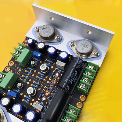 1 paio scheda amplificatore 1969 nuova CG69 Ultra LM3886 LM1875 TDA1521 LM4766 TDA203 - Immagine 1 di 4