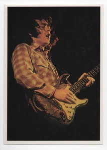 Rory Gallagher Card Panini Pop Stars Sticker 1975 Mini-Poster Vintage Rock #19 - Picture 1 of 2
