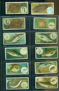 WILLS'S - FISH AND BAIT SERIES - CIGARETTE CARDS  VINTAGE  PART SET 12 - Picture 1 of 2