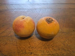 2 Italian Alabaster Hand Carved Stone Fruit Peach Persimmon Realistic VTG  - Picture 1 of 14