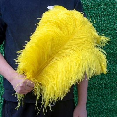 Lote de 10 plumas de avestruz blanco para decoración de fiestas de bodas plumas artesanales Foto 1 de 4