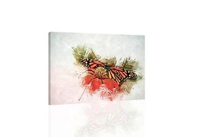 Monarch Butterfly II - CANVAS OR PRINT WALL ART - Picture 1 of 2