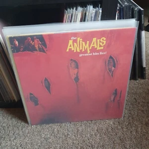 The Animals – Greatest Hits Live! - Vinyl LP - 1984 - Foto 1 di 2