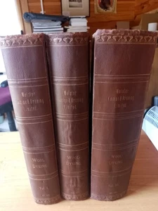 Coal Tar Colours Farbwerke 1910 Meister Lucius & Bruning Wool dyeing 3 volumes - Bild 1 von 14