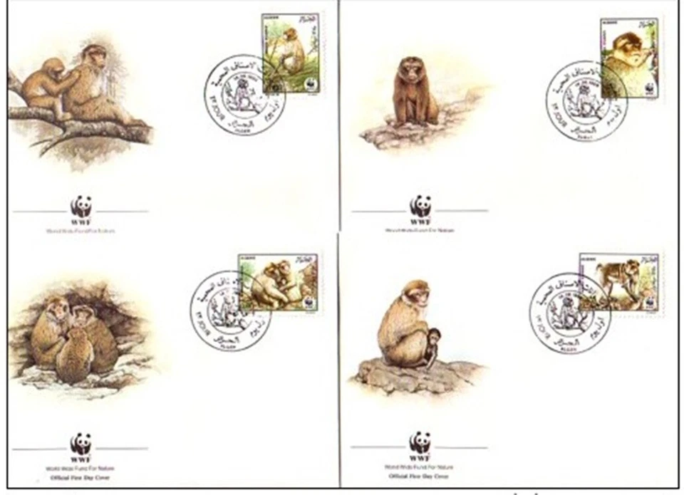 Algeria 1988 ☀ W.W.F. - Fauna / Mammals - Barbary Macaque ☀ 4x FDC - Image 1 of 1