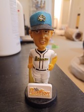 Myrtle Beach Pelicans Jose Ascanio Mini Bobblehead SGA RARE NIB