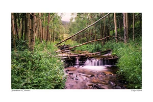 Somewhere in Colorado landscape waterfall Photograph Print Poster Wall Art 8X12 - Picture 1 of 1