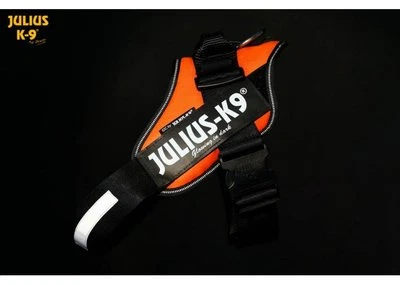 Arnés eléctrico Julius K9 IDC para perros florente naranja neón NUEVO Foto 1 de 2