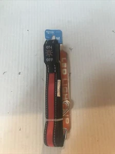 Master Paws LED Light-Up Red Pet Leash for Dogs 4’ Medium (8-LGY-5) - Picture 1 of 4