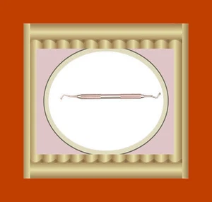 Eichel Burnisher # 21B Dental Veterinär Instrumente ASTM Edelstahl - Bild 1 von 1