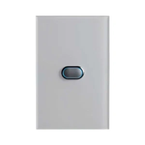 iZone Wireless Temperature Sensor On/Off Function Button - Picture 1 of 5