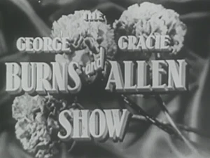 THE GEORGE BURNS AND GRACIE ALLEN SHOW (1950) 274 Episodes Plus Bonuses - Picture 1 of 3
