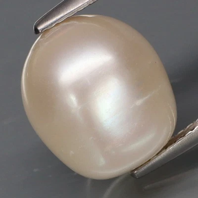 9.85Ct.Vintage Natural Creamy White PEARL THAILAND Egg Shape (Drilled) - Image 1 of 4