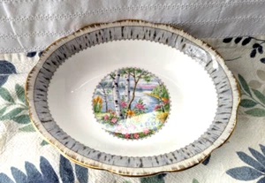 ROYAL ALBERT SILVER BIRCH Oval Vegetable Bowl 9 1/4 Inch BONE CHINA EUC - Picture 1 of 7