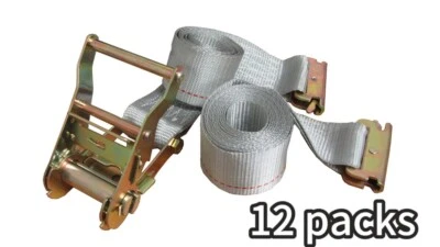 12 pk 2in x 16ft E-Fitting Tie Down Straps Spring 3000lbs Break Strength Trailer - Image 1 of 4