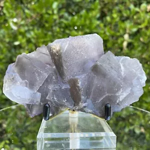 458 g 13x9x5 cm trasparente matrice fantasma grigio fluorite dal Belucistan, Pakistan - Foto 1 di 4