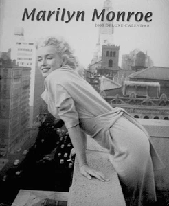 Marilyn Monroe Calendar 2003 20th Century Fox Niagara Milton Greene SEALED MINT - Picture 1 of 2