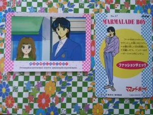 MARMALADE BOY HERO COLLECTION TRADING CARD LA FAMILIA CRECE AMADA 17 - Bild 1 von 1
