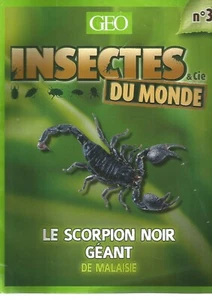 INSECTES & Cie DU MONDE N°03 - LE SCORPION NOIR GEANT DE MALAISIE - Picture 1 of 2
