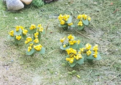 MP SCENERY 16 Marsh Marigold N Gauge Flower Plants Railroad Farm Layout Handmade - Image 1 of 4