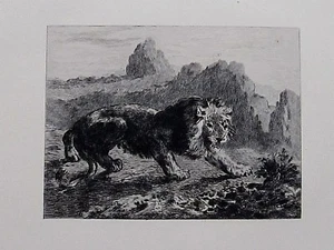 Eugene Delacroix Lion Attacked Etching 1897 Print Run of 525 Copies - Picture 1 of 8