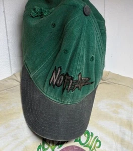 De colección Años 90 No Fear Peligroso Equipo Deportivo Gorra Snapback Dos Tonos Verde Gris - Imagen 1 de 11