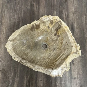 Bathroom Counter Top Petrified Wood Vanity Vessel Basin Sink PWS 01 - Picture 1 of 5