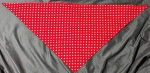 ¡Autógrafo Mae Krier Rosie la remachadora! Bandana icónica firmada personal - Imagen 1 de 5