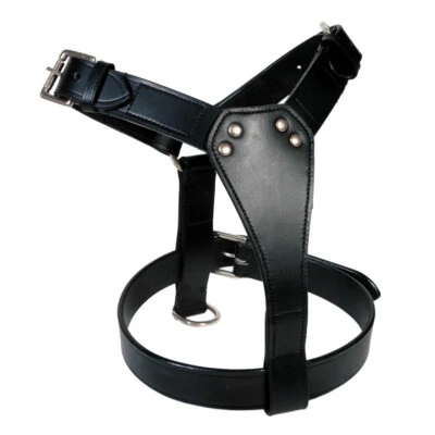 LEATHER DOG HARNESS PLAIN IN 6 COLOURS, FULLY PADDED CHROME PLATED BRASS FITTING - Image 1 of 4