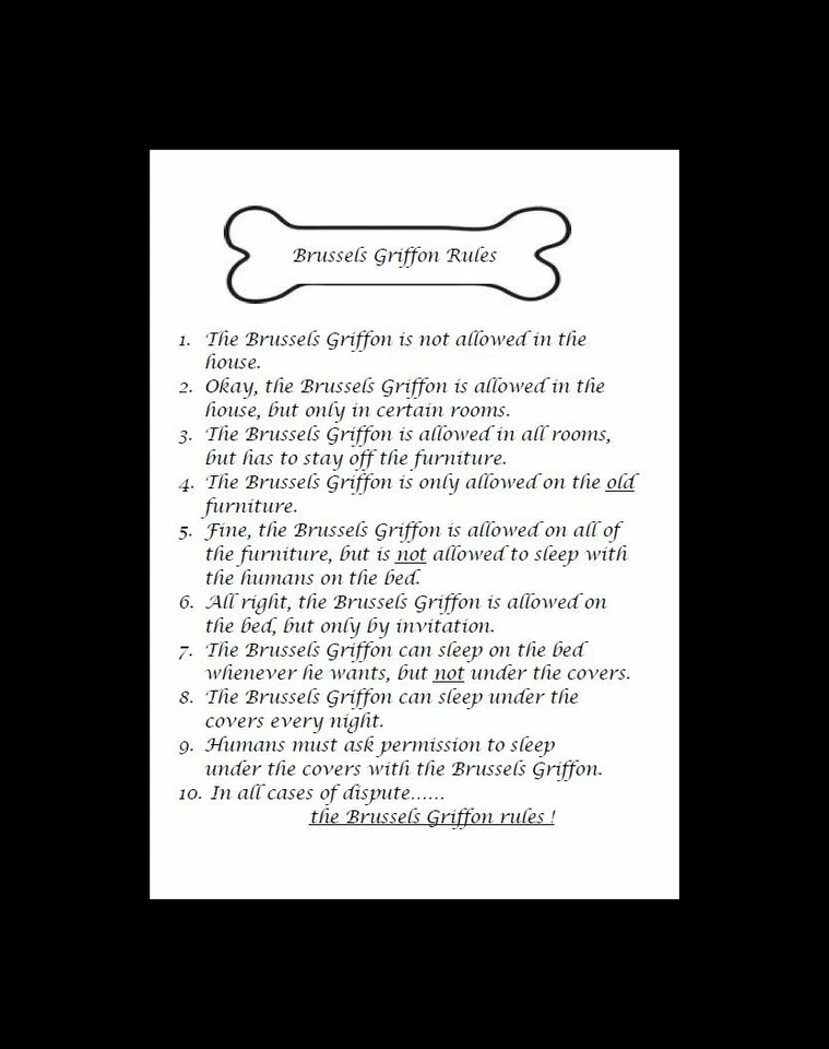 Grifo de Bruselas "Reglas" - PERSONALIZADO MATE - Impresión artística para perros: REGALO Foto 1 de 1