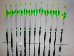 Easton Axis 340 5mm Hunting Carbon Arrows! Crested/Dipped Bohning Blazer Vanes - Picture 1 of 4