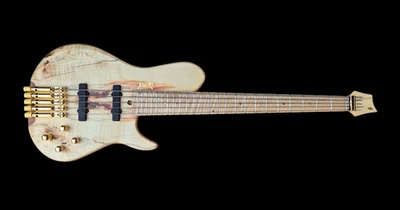 Headless bass 5 strings - Image 1 of 4