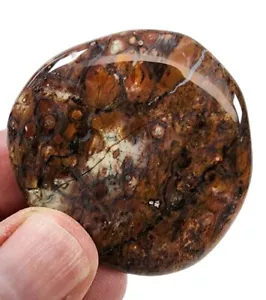 Piedra lisa pulida riolita ojo de pájaro 19,9 gramos - Imagen 1 de 2