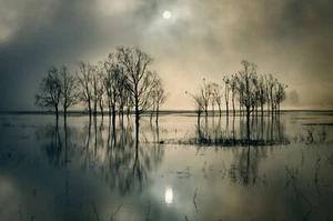 Photo Art Wall Mural-REFLECT-(6504)-NON WOVEN-Wallpaper-Nature Sky Dune Sea XXL - Picture 1 of 1