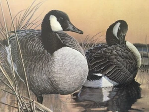 Larry Hayden 1992 Texas Duck Print, Stamp, 198/5650, Canada Geese - Picture 1 of 6