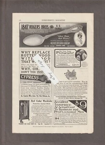 1911 CYPRESS WOOD Magazine AD~ESKAY'S FOOD~Piedmont RED CEDAR CHEST/Statesville - Picture 1 of 2