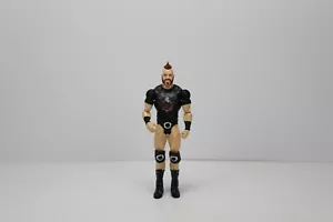 Figura de acción Sheamus Celtic Warrior 2015 WWF WWE WCW NXT ECW juguete - Imagen 1 de 6