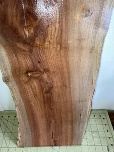 One Piece Hawaiian Crepe Myrtle~19 1/4" x 10 1/4" x 1/3"  (#435) - Picture 1 of 9