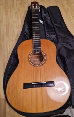 Guitarra clásica Motion TC901 con estuche clásico Ritter Foto 1 de 4