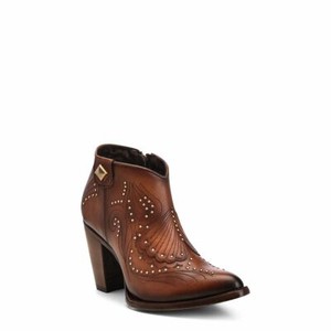 Botas y Botines - Dama
