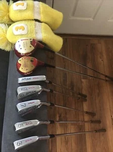 RH Wilson Staff Patty Berg Tour Blade 3,5,7,9 & Putter +1&3 Woods Steel Shafts - Picture 1 of 8
