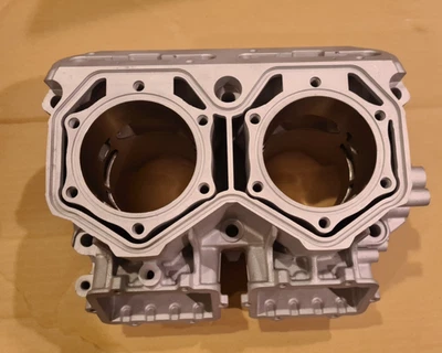 Rotax Ski-Doo 圆筒式真空吸尘器 850 6413300 MXZ MXZX Renegade Freeride — 第 1/4 张图片