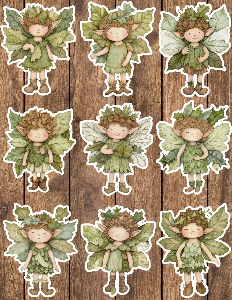 Pegatinas de vinilo troqueladas Woodland Fairy Boy álbum de recortes computadora portátil botella de agua  Foto 1 de 1