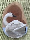 Original Acrylic And Ink Painting On Cedar By Cris Arbo: Tundra Swan