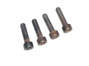Juego de tornillos de cilindro Husqvarna OEM, modelos 262 254 42 242, #725533155 - Imagen 1 de 1