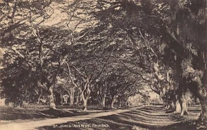 Trinidad - PORT OF SPAIN - St. James avenue - Publ. Colonial Series - Picture 1 of 2