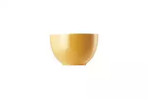 Thomas - Sunny Day - Yellow - Cereal Bowl - 236262N - Picture 1 of 1