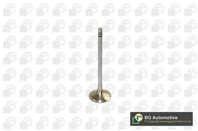 Soupape d'admission V591701 BGA pour CITROËN MINI PEUGEOT - Photo 1/4