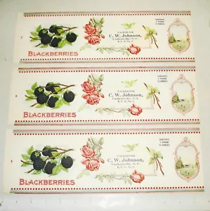 3 Vintage NOS Paper Blackberry Canning Label Lot - C W JOHNSON Yadkinville NC - Picture 1 of 1